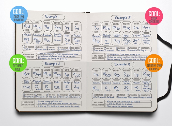 The Habit Journal